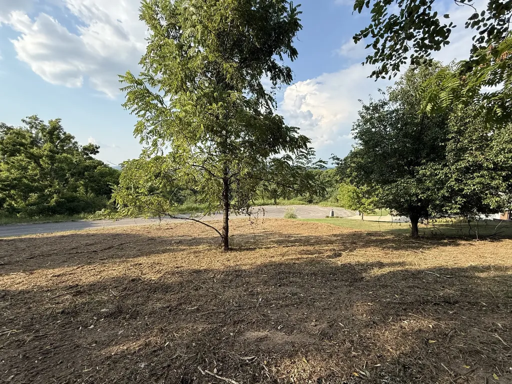 0 Deer Ridge Road Columbia TN 38401