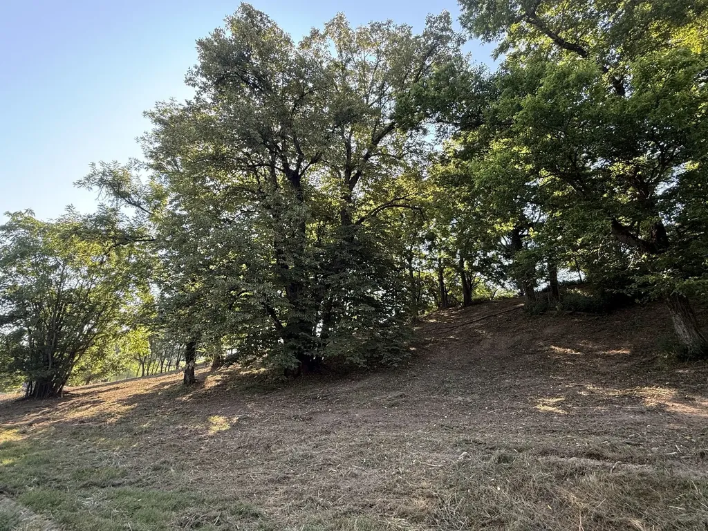0 Deer Ridge Road Columbia TN 38401