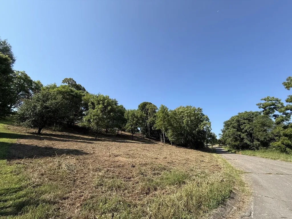 0 Deer Ridge Road Columbia TN 38401