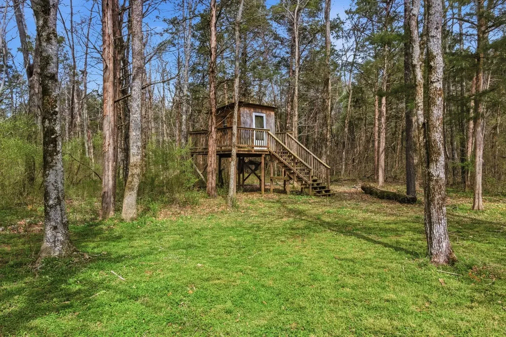 2320 Snake Town Road Chapel Hill TN 37034