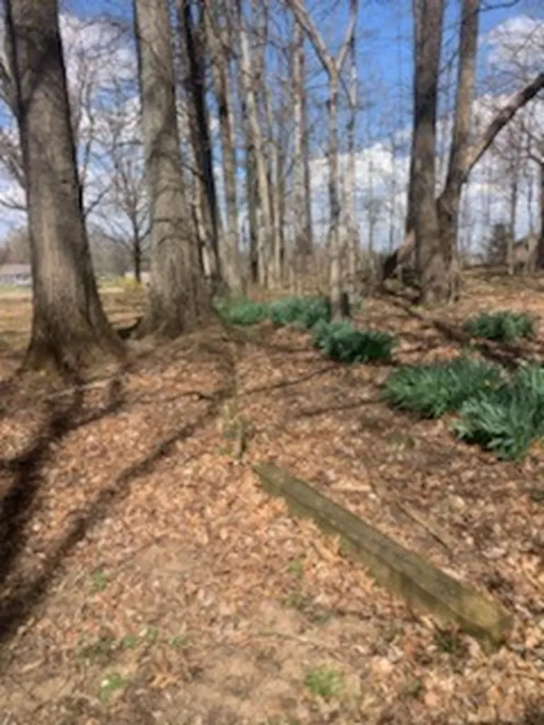 864 Tom Osborne Road Columbia TN 38401