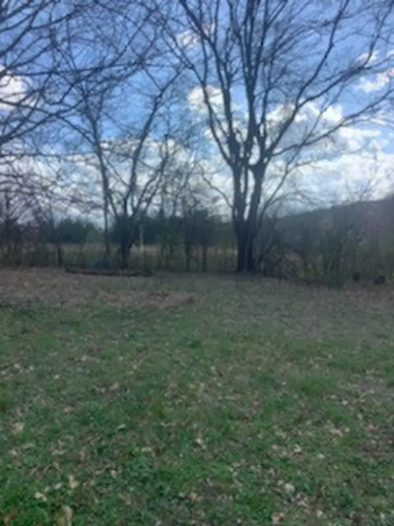 864 Tom Osborne Road Columbia TN 38401