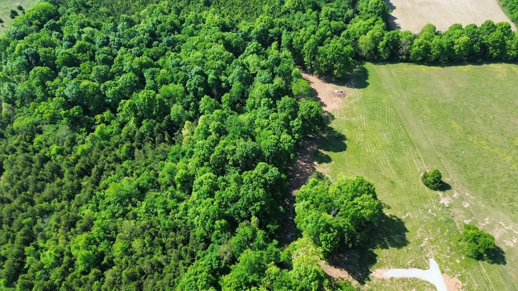 2556 Palmetto Cemetery Road Lewisburg TN 37091