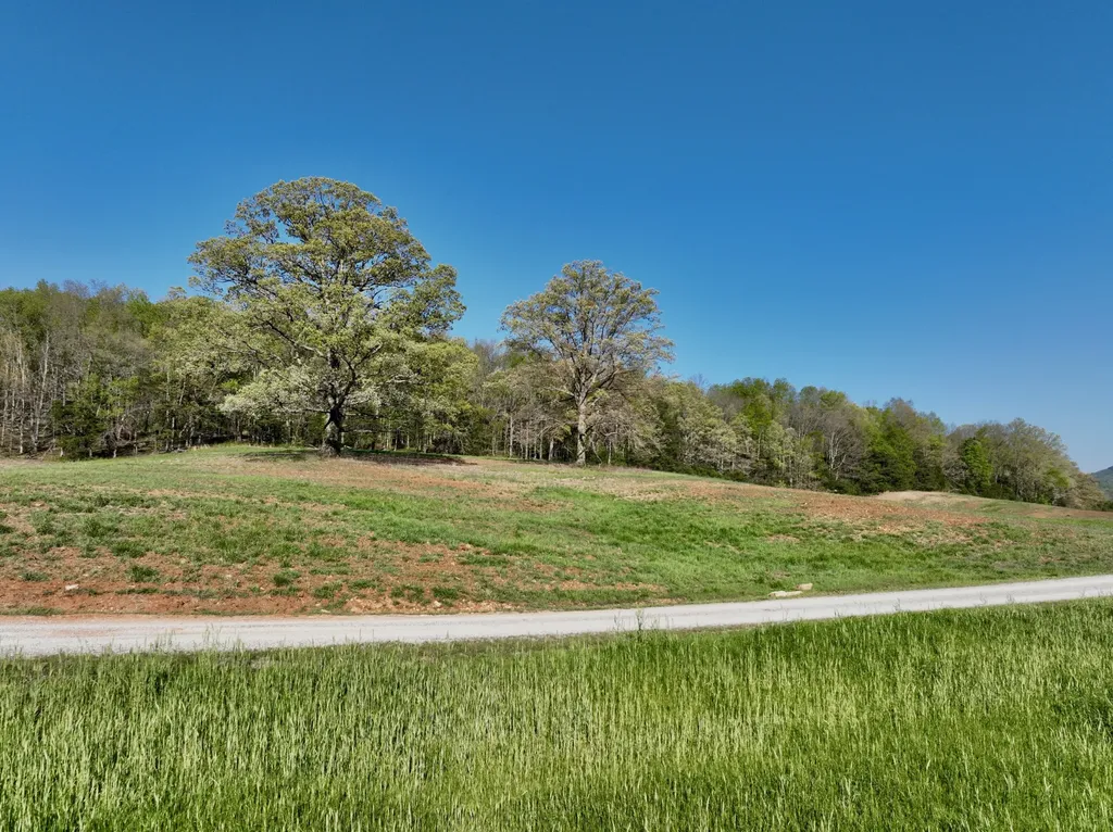 1 Russell Road Rock Island TN 38581