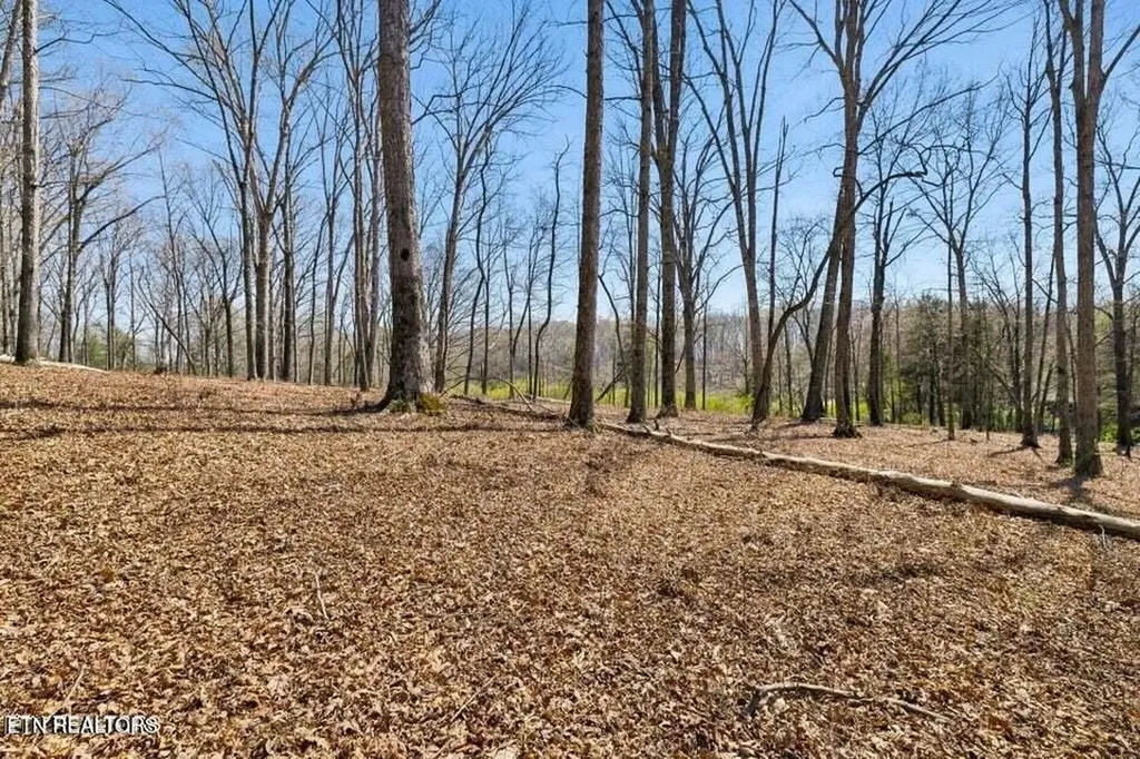 1300 Old Sugar Limb Road Loudon TN 37774