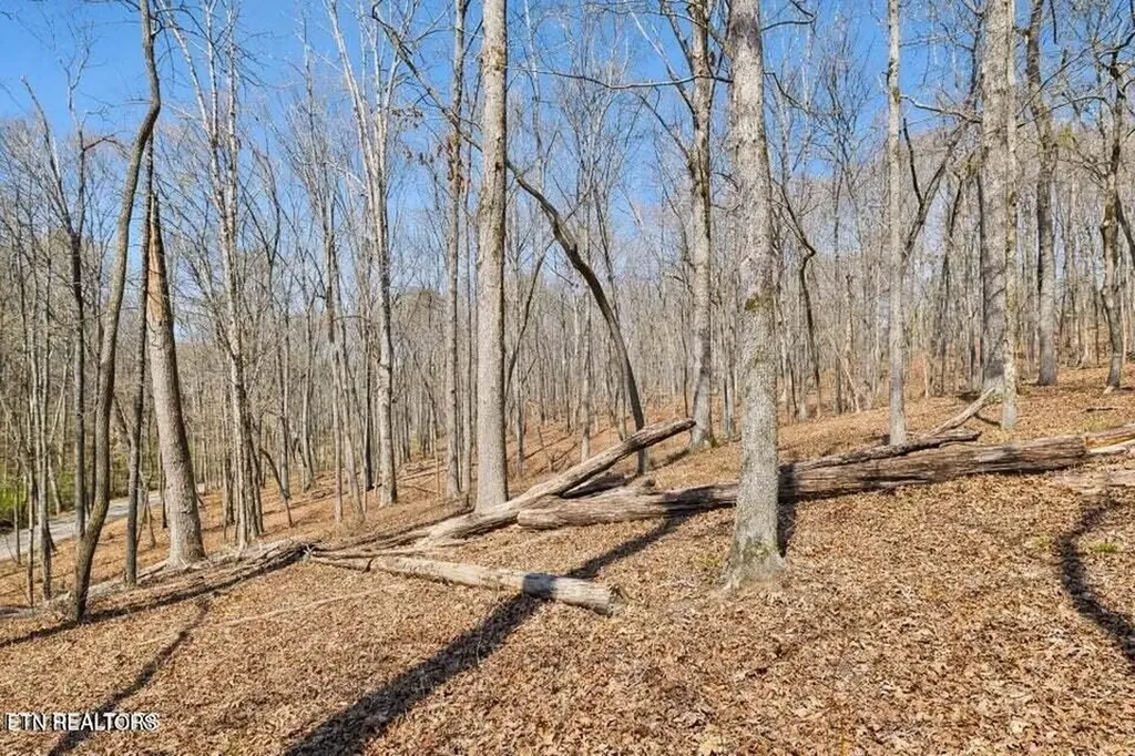 1300 Old Sugar Limb Road Loudon TN 37774