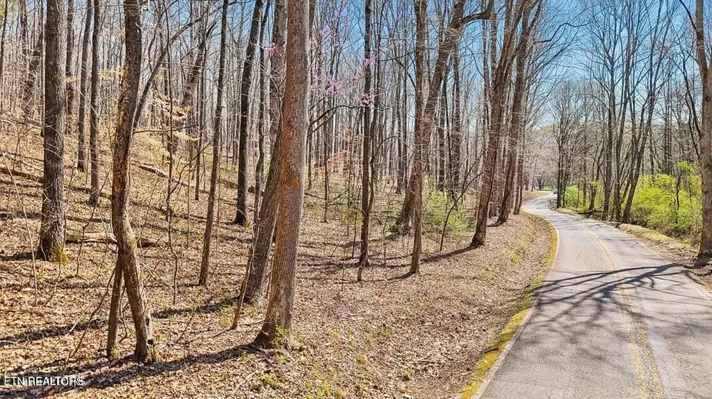 1300 Old Sugar Limb Road Loudon TN 37774