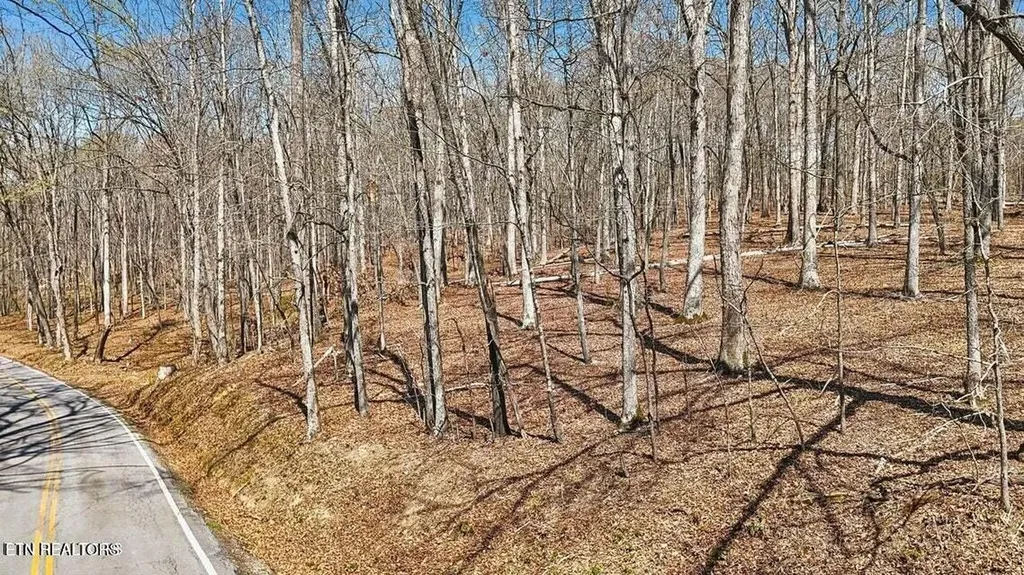 1300 Old Sugar Limb Road Loudon TN 37774