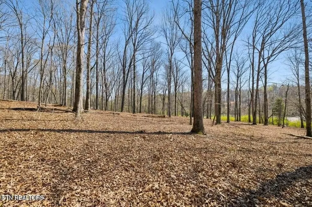 1300 Old Sugar Limb Road Loudon TN 37774