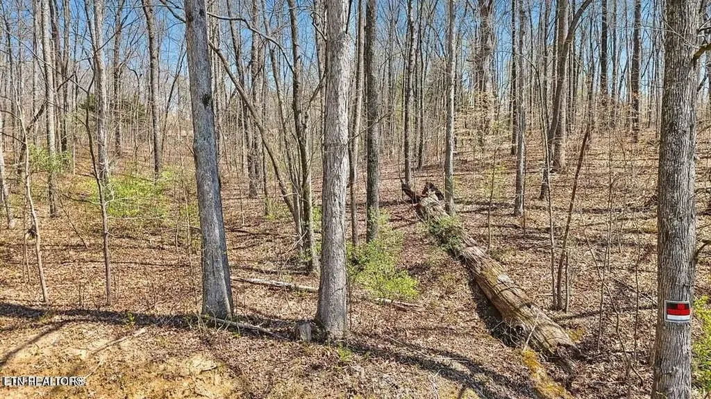 1300 Old Sugar Limb Road Loudon TN 37774