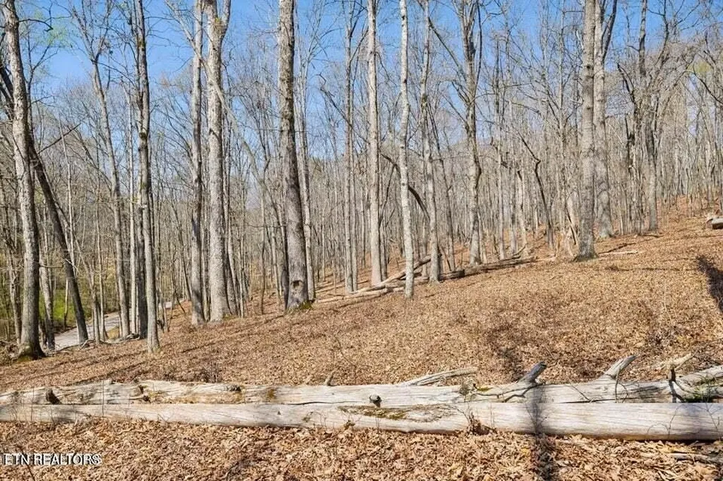 1300 Old Sugar Limb Road Loudon TN 37774