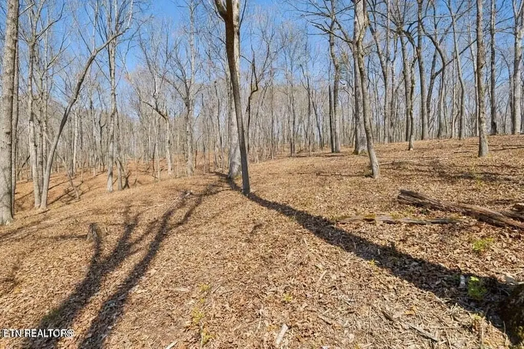 1300 Old Sugar Limb Road Loudon TN 37774