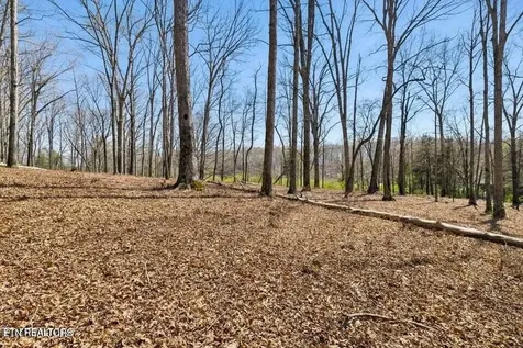 1300 Old Sugar Limb Road Loudon TN 37774