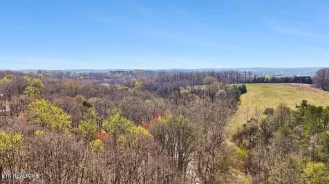 1300 Old Sugar Limb Road Loudon TN 37774