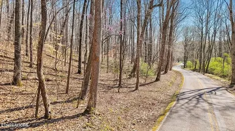 1300 Old Sugar Limb Road Loudon TN 37774