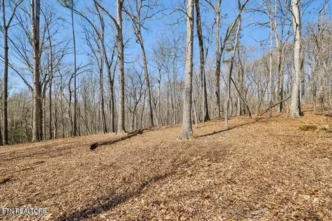 1300 Old Sugar Limb Road Loudon TN 37774