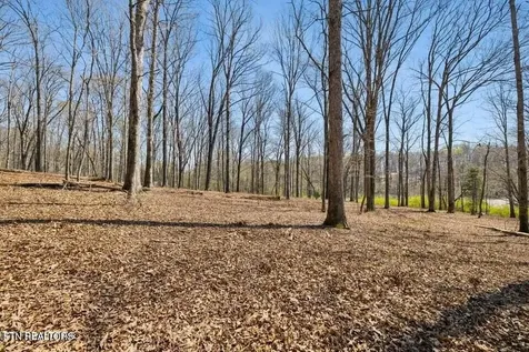 1300 Old Sugar Limb Road Loudon TN 37774