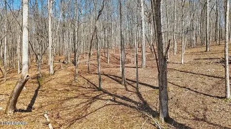 1300 Old Sugar Limb Road Loudon TN 37774