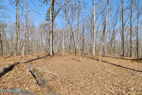 1300 Old Sugar Limb Road Loudon TN 37774