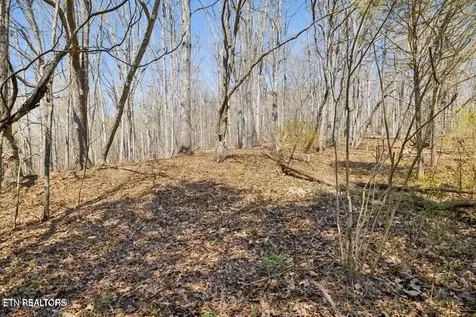 1300 Old Sugar Limb Road Loudon TN 37774