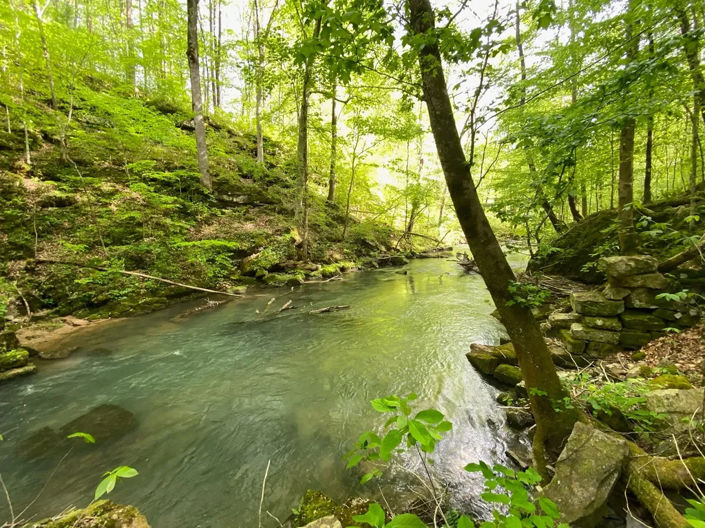 8450 Old Highway 28 Pikeville TN 37367
