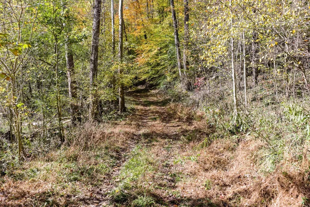 8450 Old Highway 28 Pikeville TN 37367