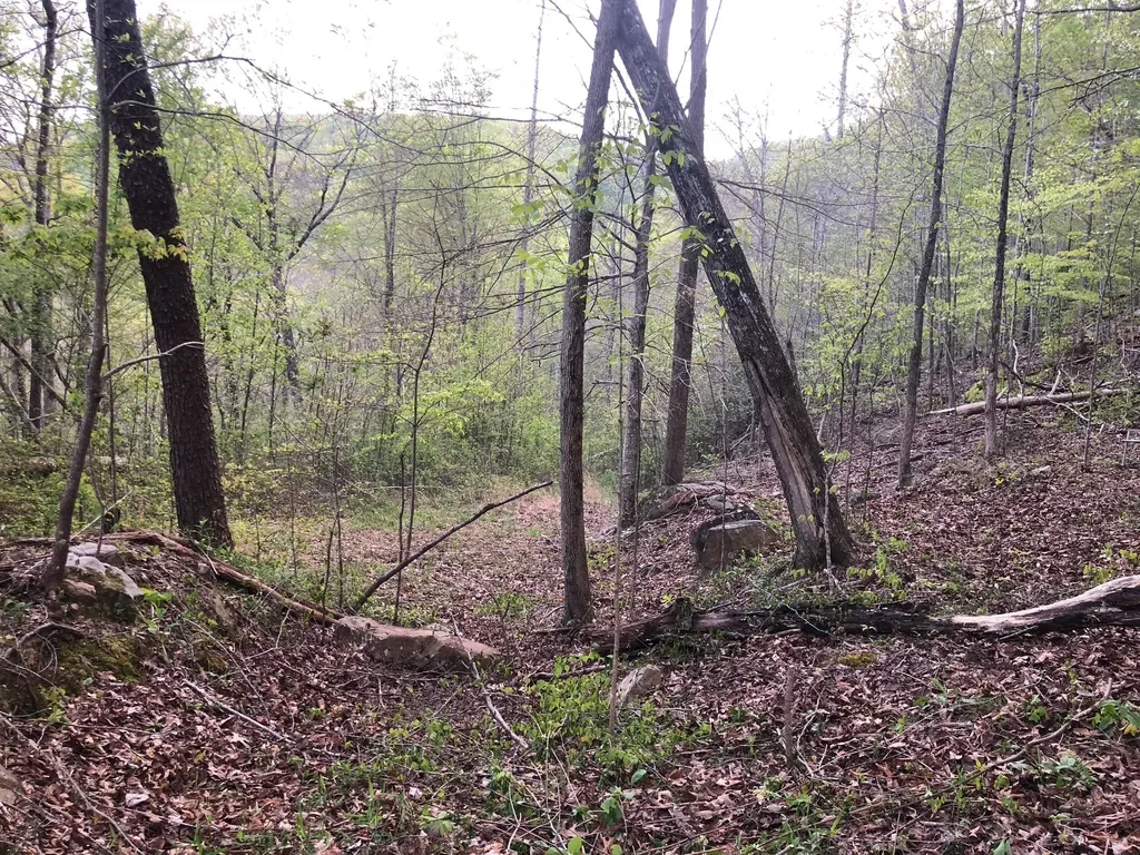 8450 Old Highway 28 Pikeville TN 37367
