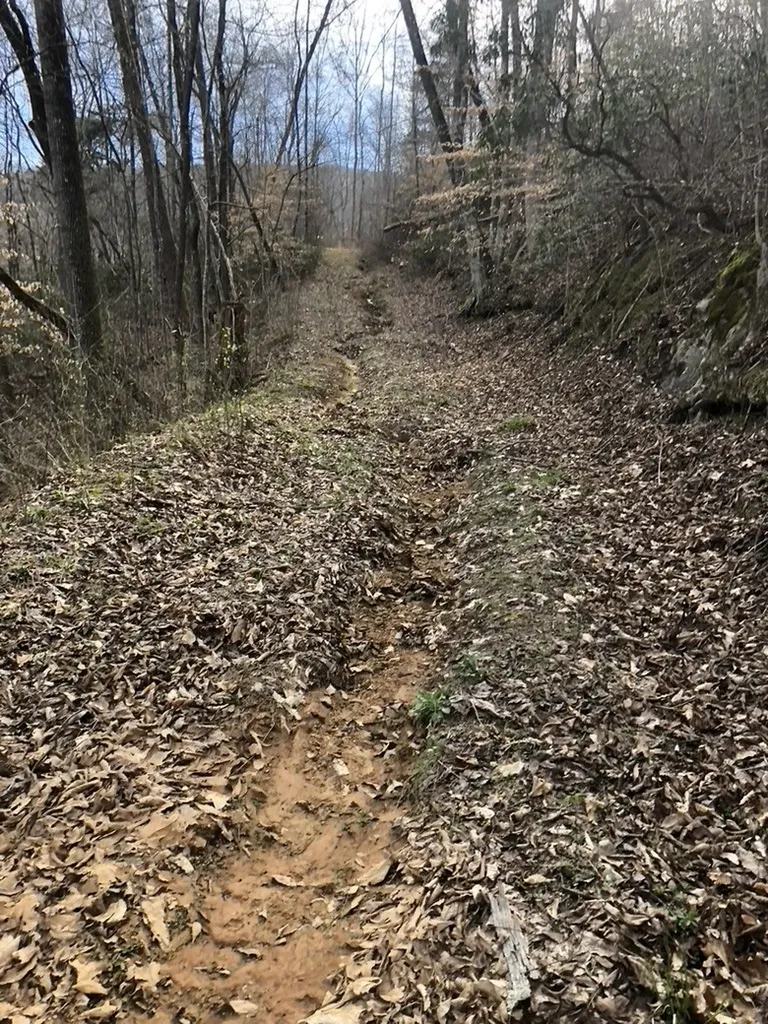 8450 Old Highway 28 Pikeville TN 37367