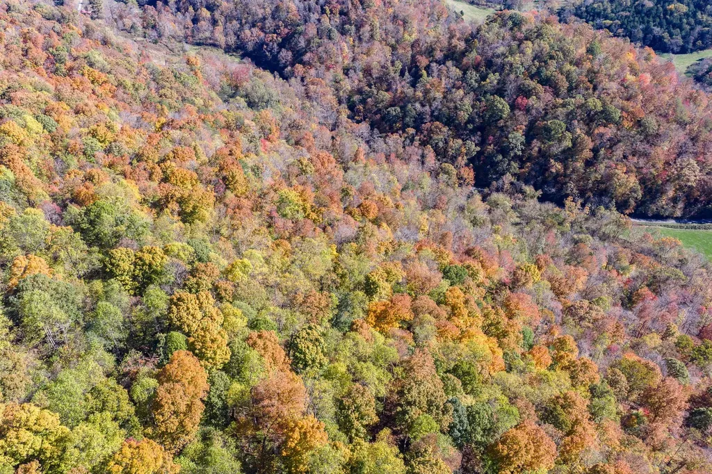 8450 Old Highway 28 Pikeville TN 37367