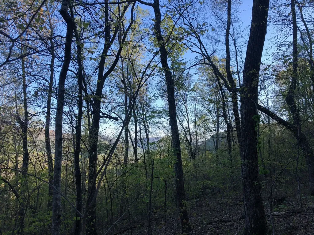 8450 Old Highway 28 Pikeville TN 37367