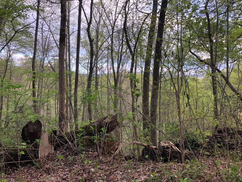 8450 Old Highway 28 Pikeville TN 37367