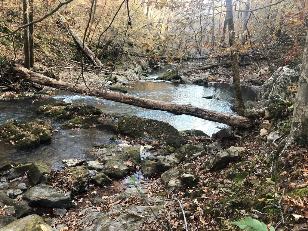 8450 Old Highway 28 Pikeville TN 37367