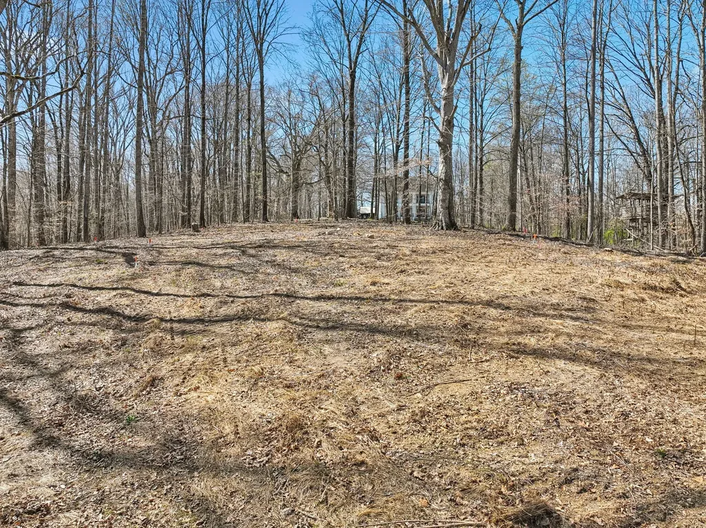3819 Bear Creek Road Thompsons Station TN 37179