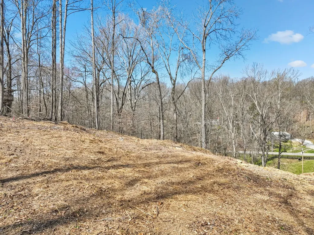 3819 Bear Creek Road Thompsons Station TN 37179