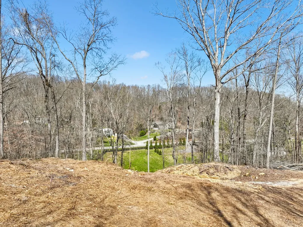 3819 Bear Creek Road Thompsons Station TN 37179