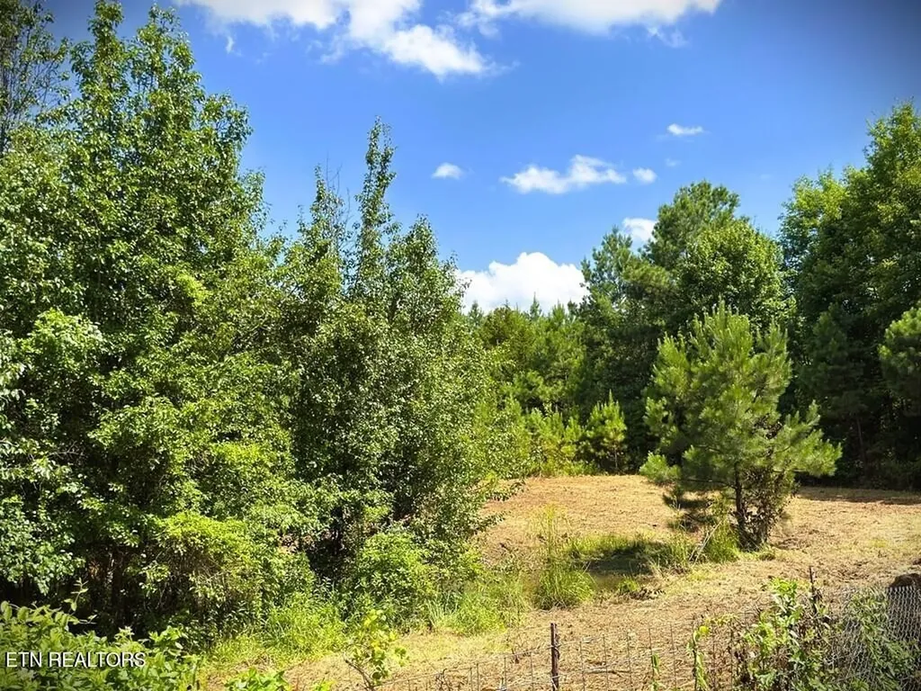 0 Marcrom Road Morrison TN 37357