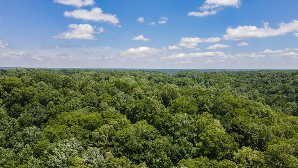 1 Highway 49 W Ashland City TN 37015