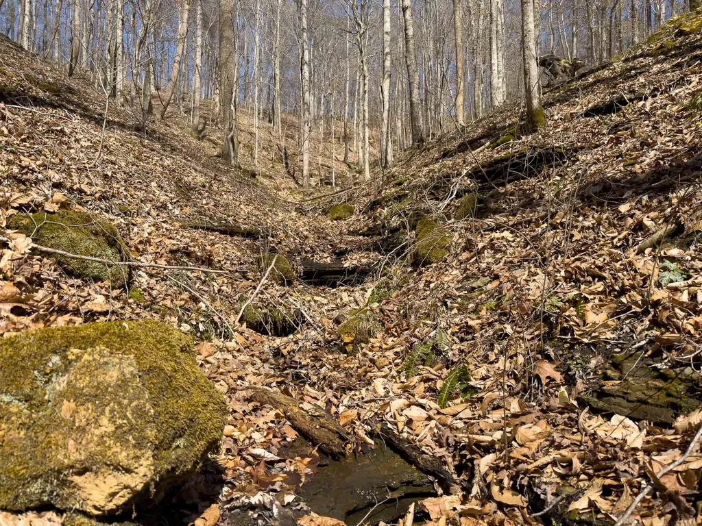 1 Highway 49 W Ashland City TN 37015