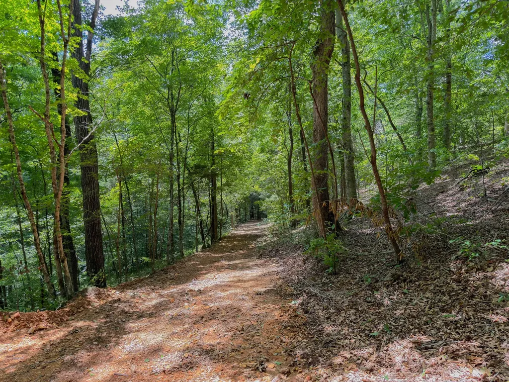 1 Highway 49 W Ashland City TN 37015