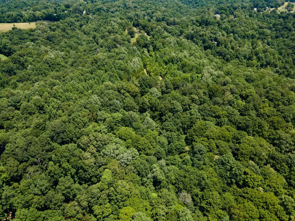 1 Highway 49 W Ashland City TN 37015