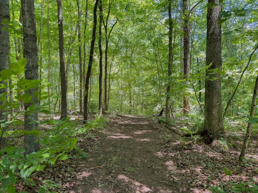 1 Highway 49 W Ashland City TN 37015