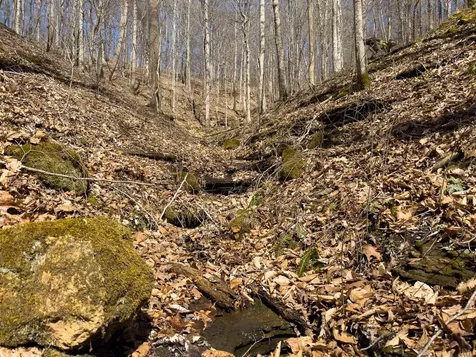 1 Highway 49 W Ashland City TN 37015