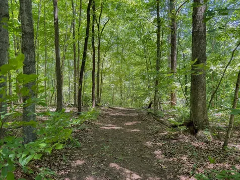 1 Highway 49 W Ashland City TN 37015