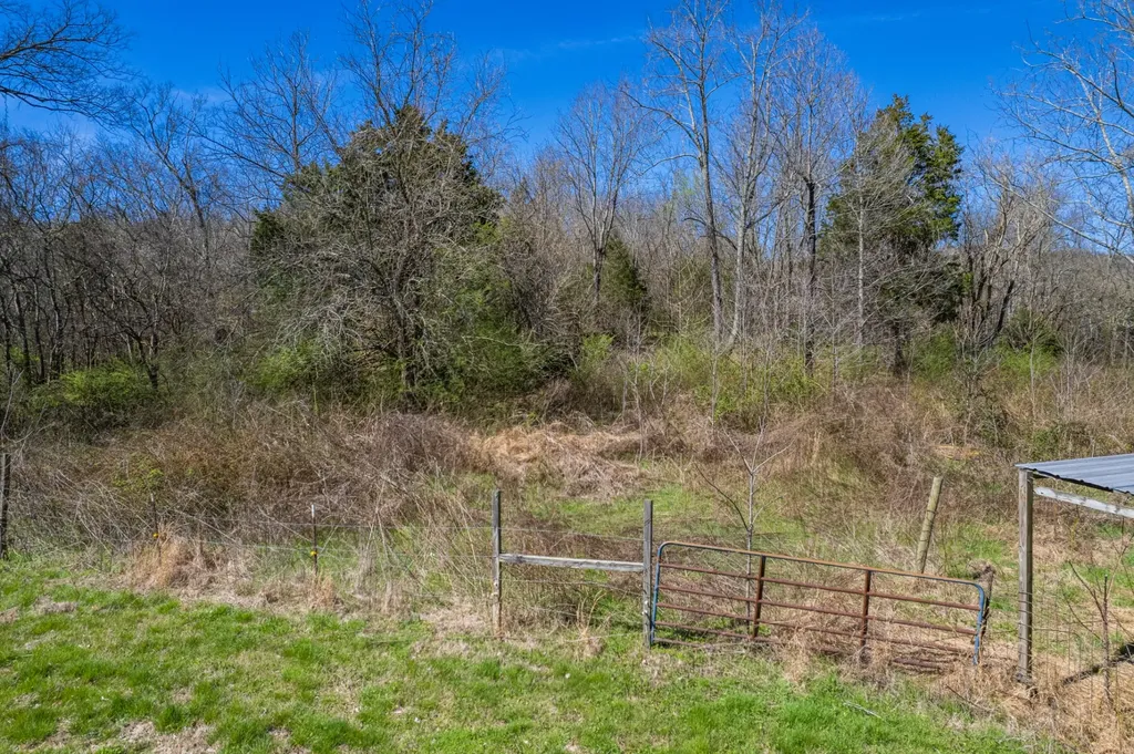 0 Dowell Branch Road Columbia TN 38401