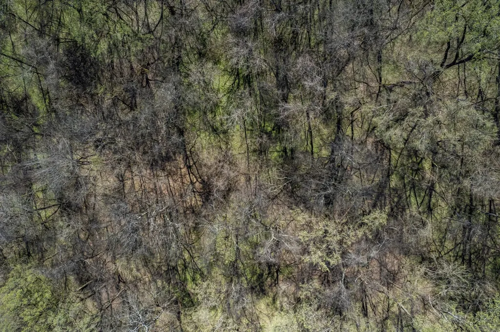 0 Dowell Branch Road Columbia TN 38401