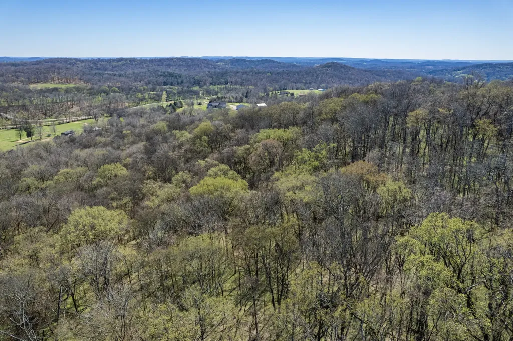 0 Dowell Branch Road Columbia TN 38401