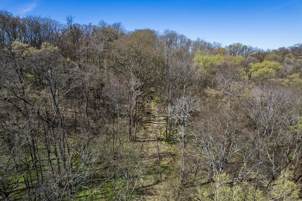 0 Dowell Branch Road Columbia TN 38401