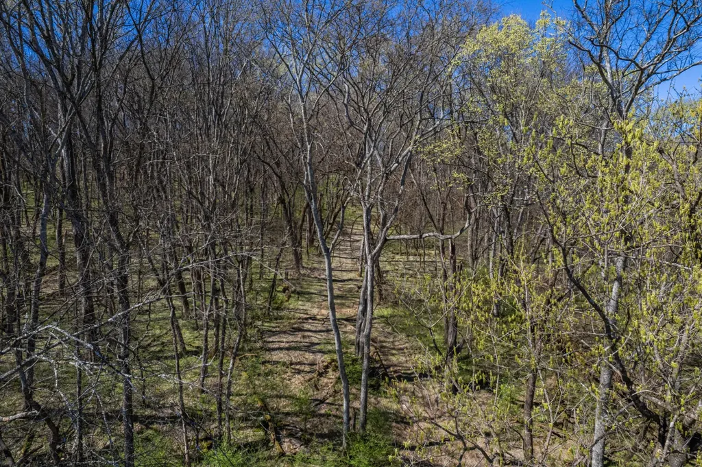 0 Dowell Branch Road Columbia TN 38401