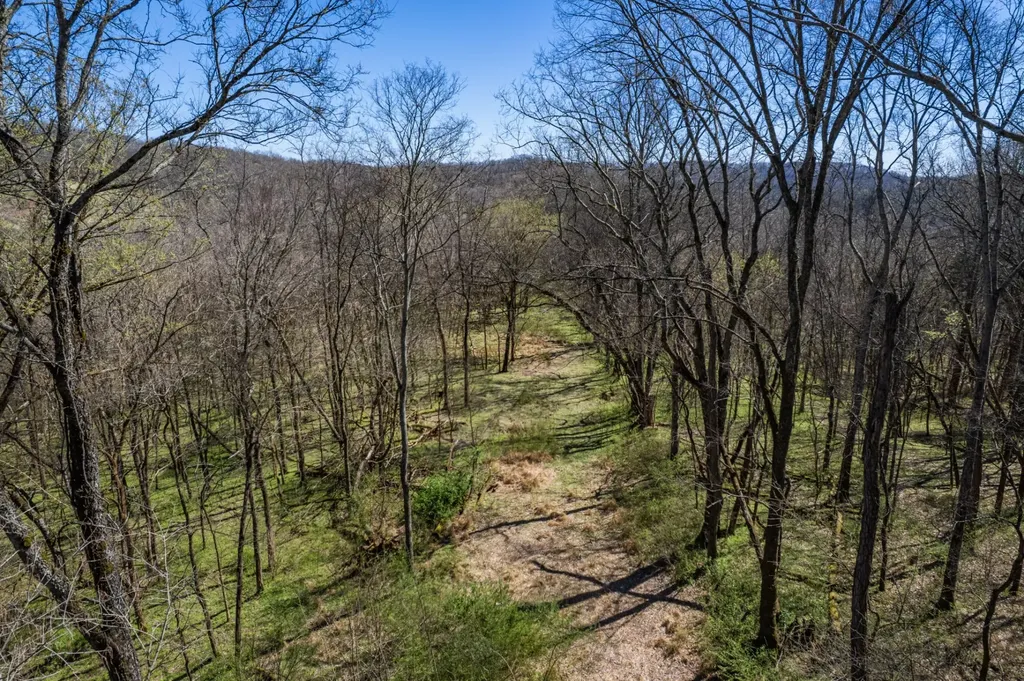 0 Dowell Branch Road Columbia TN 38401