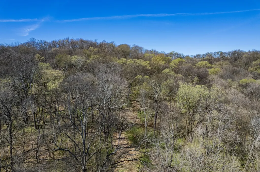 0 Dowell Branch Road Columbia TN 38401